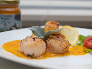 Seared Scallops with Honey Buttercup Squash Puree